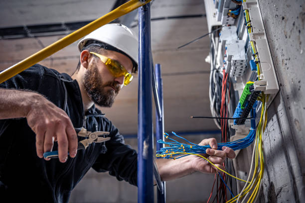 Best Licensed Electrician  in Wapakoneta, OH